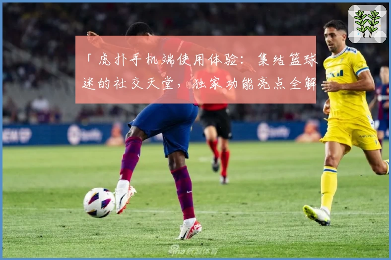 「虎扑手机端使用体验：集结篮球迷的社交天堂，独家功能亮点全解析」